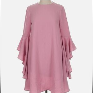 Ted Baker pink ruffle sleeve Dress with rose gold Zipper Detail